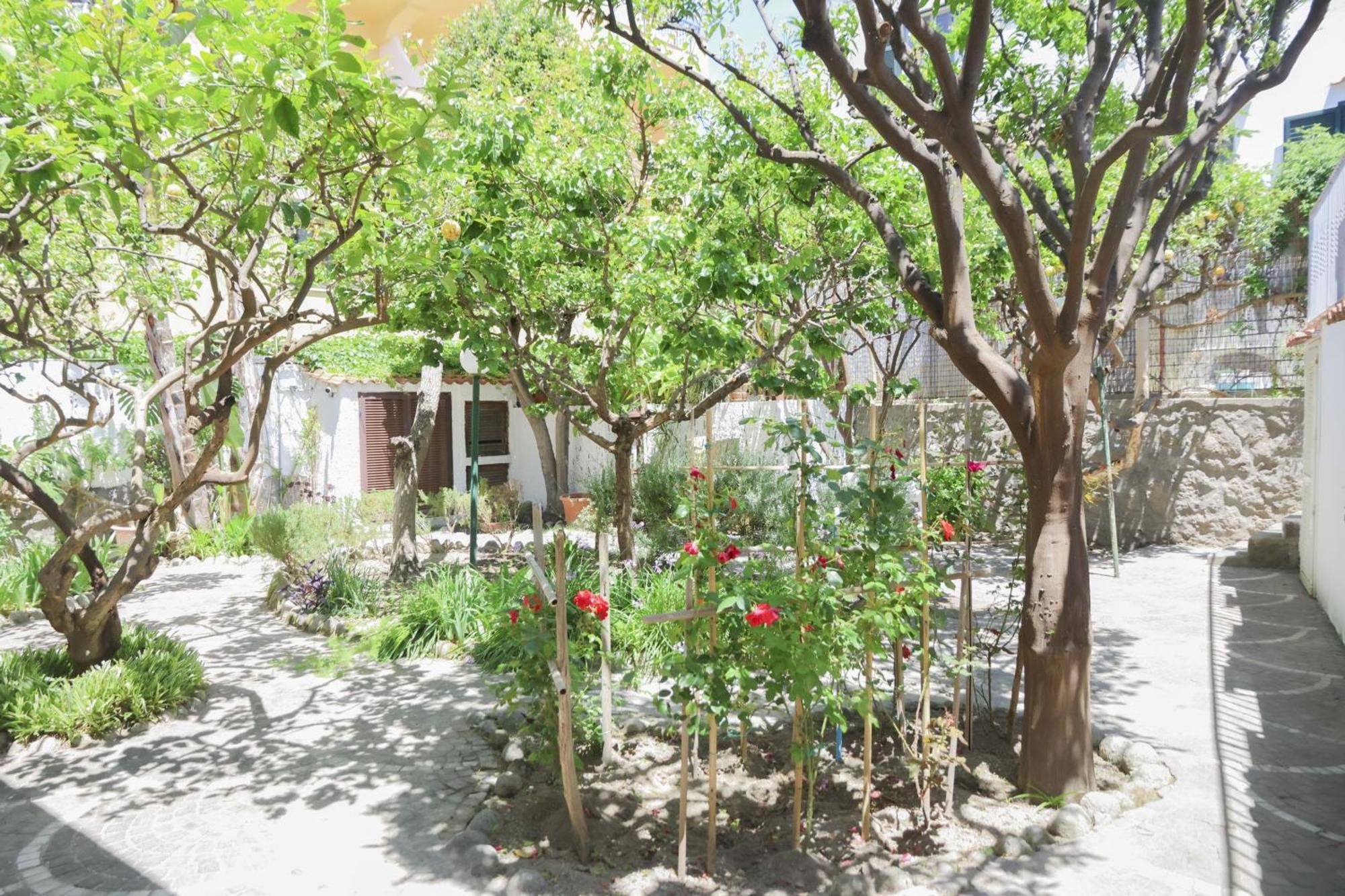 Hotel Cesotta 3*